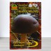 Мицелий гриба Подберезовик обыкновенный, 10г